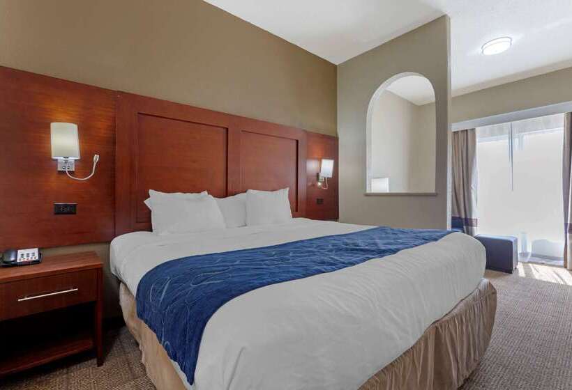 호텔 Comfort Suites Gainesville