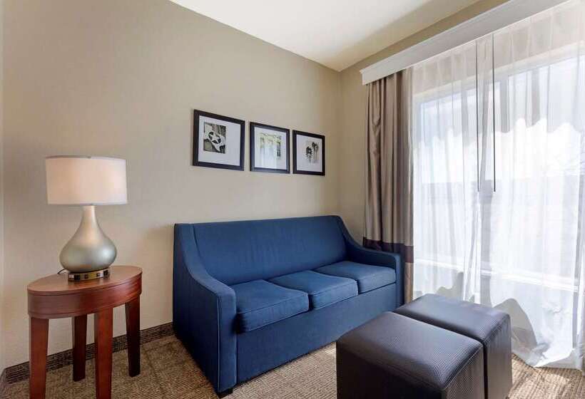 호텔 Comfort Suites Gainesville