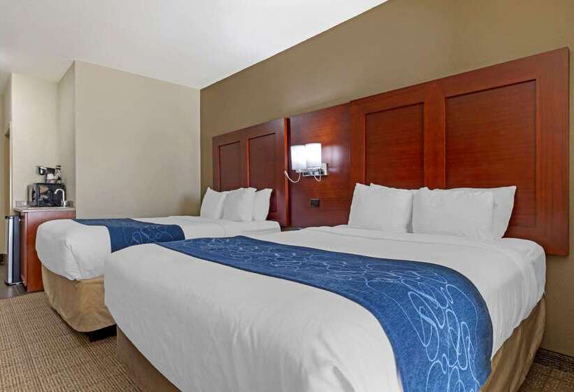 ホテル Comfort Suites Gainesville