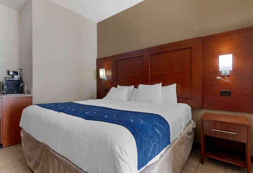 호텔 Comfort Suites Gainesville