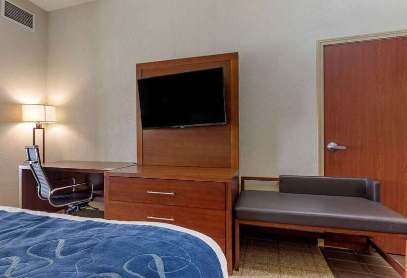 ホテル Comfort Suites Gainesville