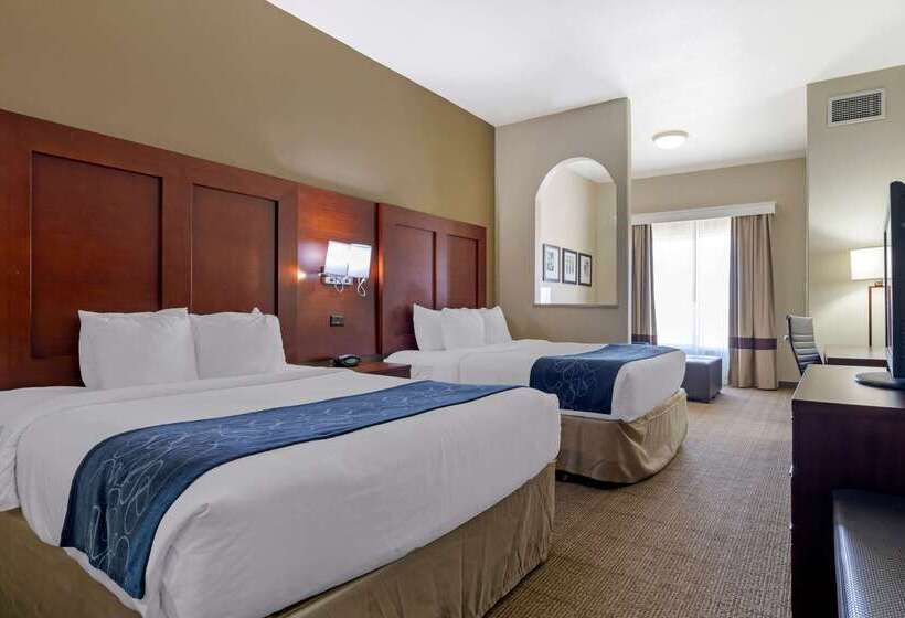 ホテル Comfort Suites Gainesville