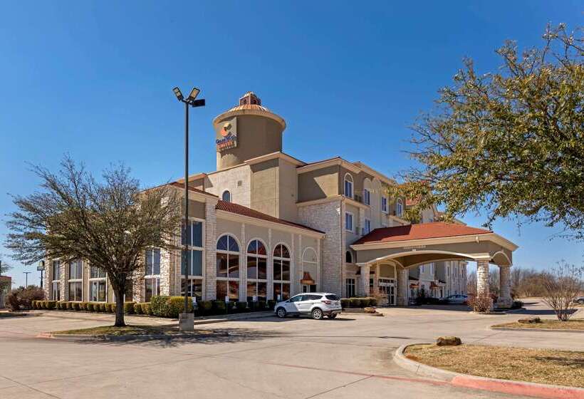 ホテル Comfort Suites Gainesville