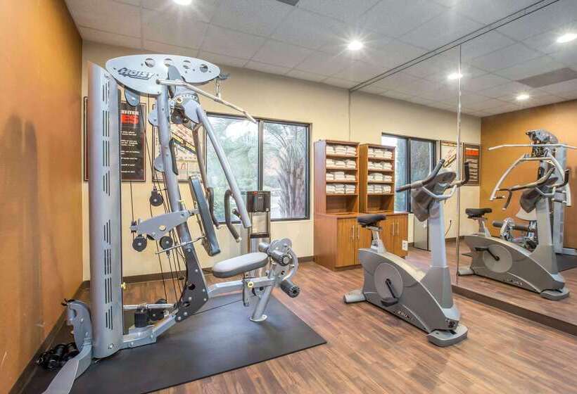 فندق Comfort Suites Locust Grove Atlanta South