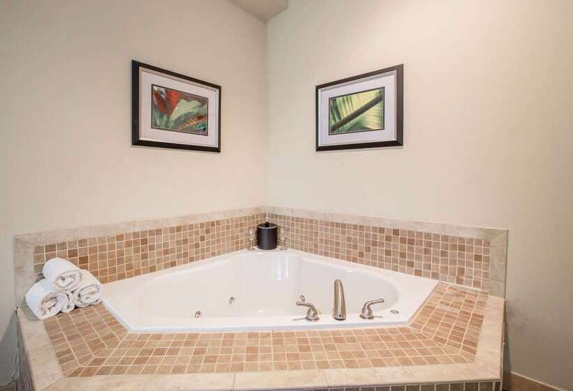 فندق Comfort Suites Locust Grove Atlanta South