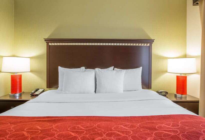 בית מלון כפרי Comfort Suites Locust Grove Atlanta South