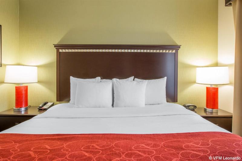 فندق Comfort Suites Locust Grove Atlanta South