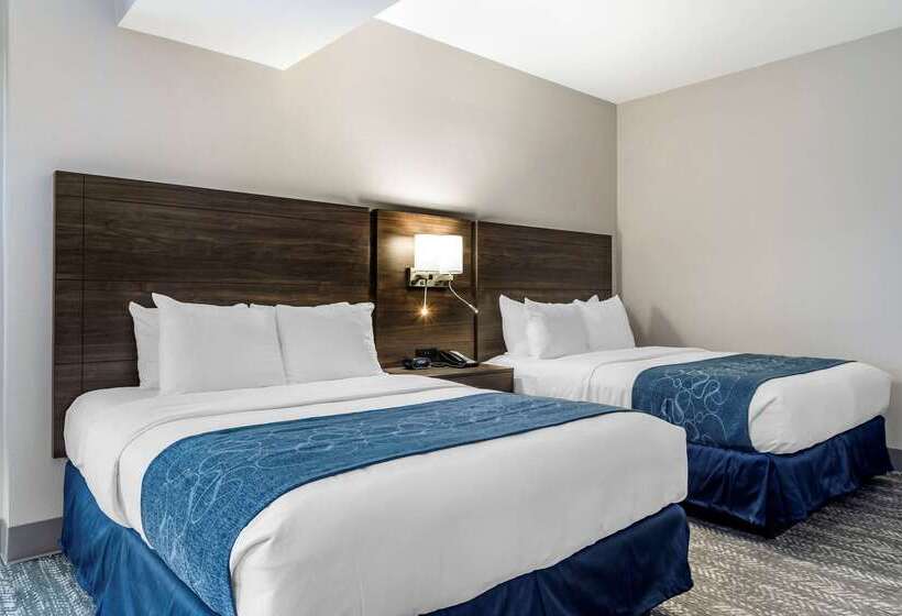 فندق Comfort Suites Mcdonough Atlanta South
