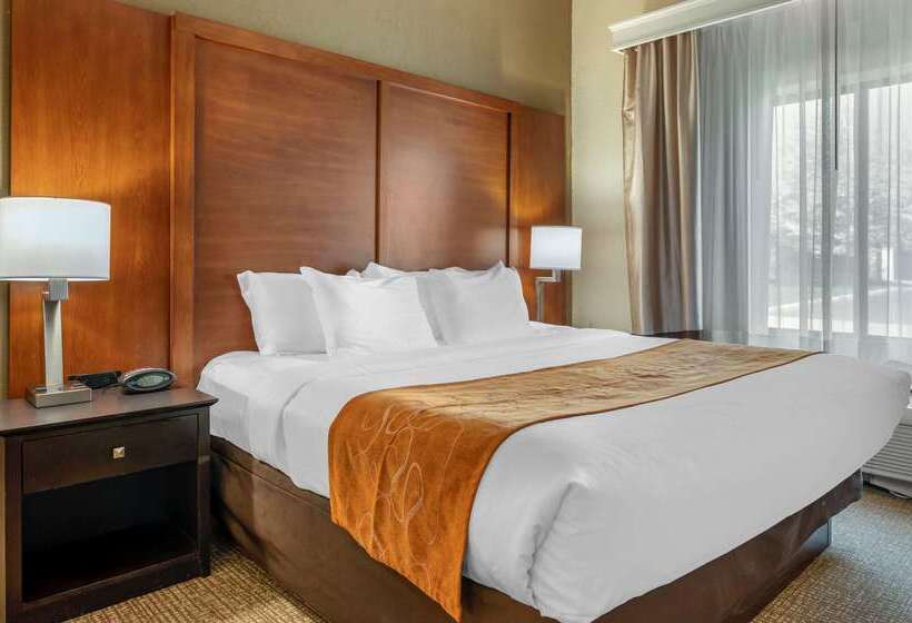 فندق Comfort Suites Merrillville Near Us 30