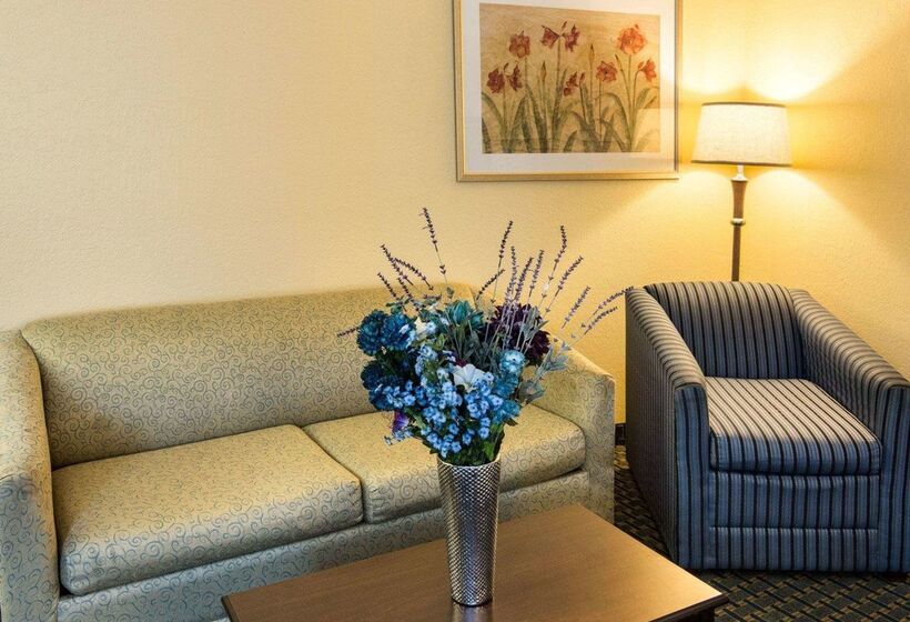 فندق Comfort Suites Nacogdoches