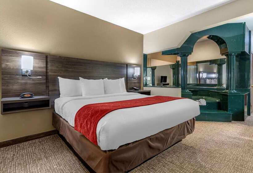 هتل Comfort Suites Near Robins Air Force Base