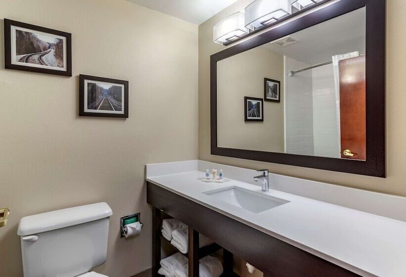 هتل Comfort Suites Near Robins Air Force Base
