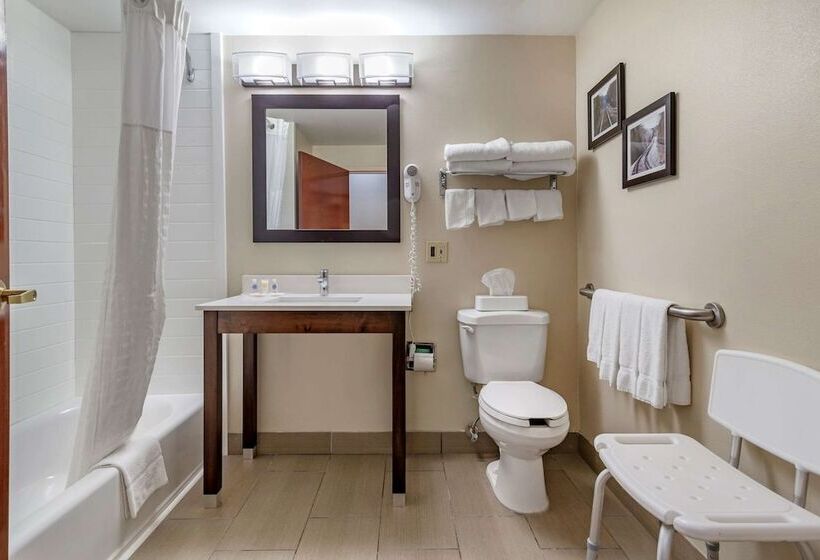 ホテル Comfort Suites Near Robins Air Force Base