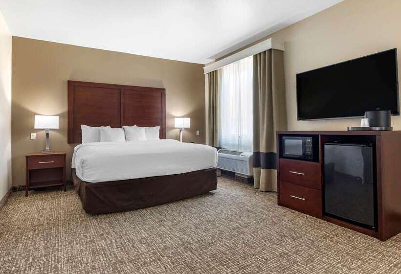 בית מלון כפרי Comfort Suites Plano   Dallas North