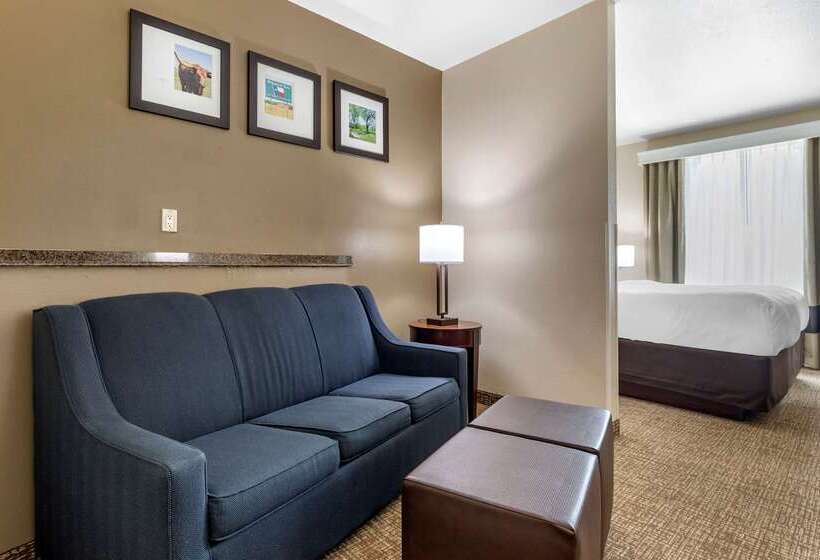 בית מלון כפרי Comfort Suites Plano   Dallas North