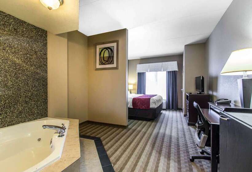 فندق Comfort Suites Smyrna