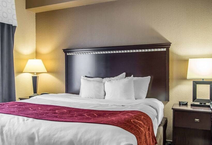 فندق Comfort Suites Smyrna