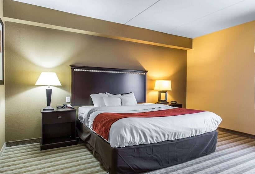 فندق Comfort Suites Smyrna