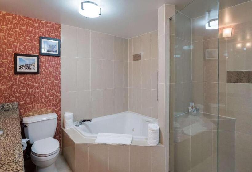 فندق Comfort Suites Suffolk  Chesapeake