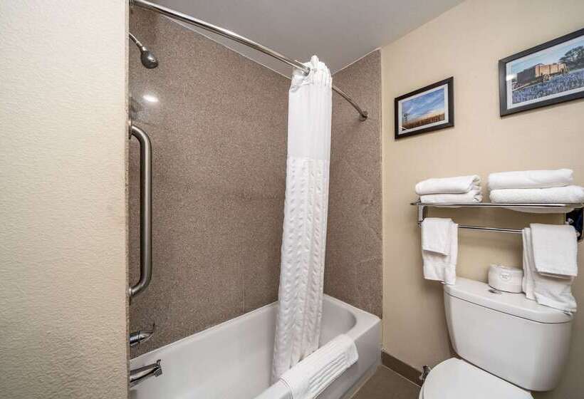 فندق Comfort Suites University