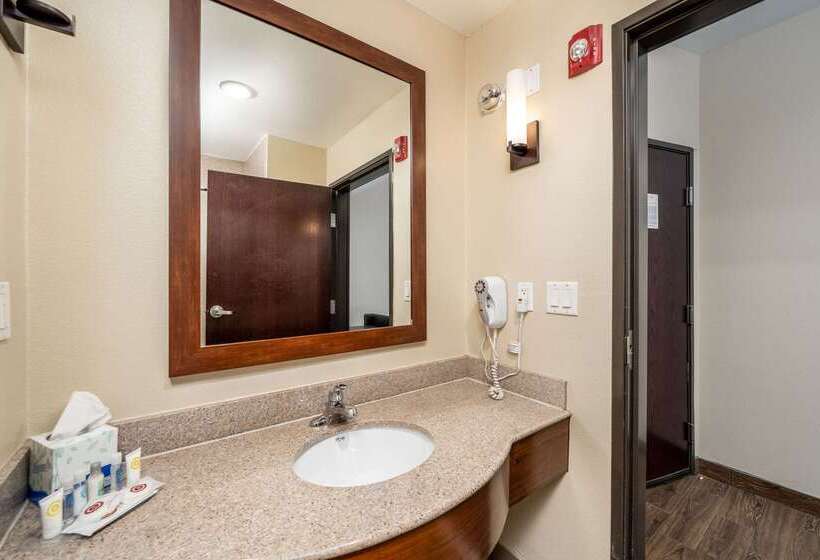 فندق Comfort Suites University