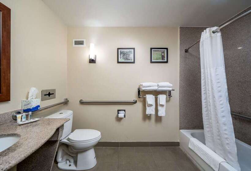 فندق Comfort Suites University