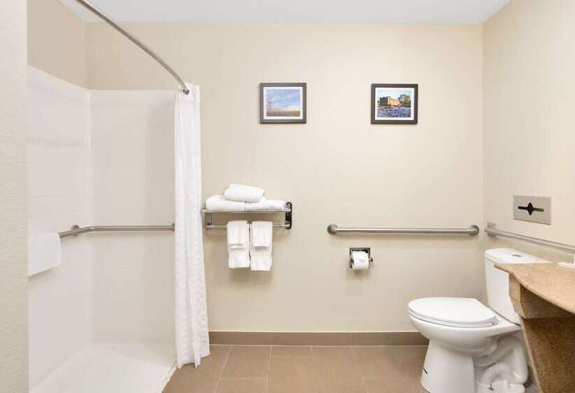 فندق Comfort Suites University