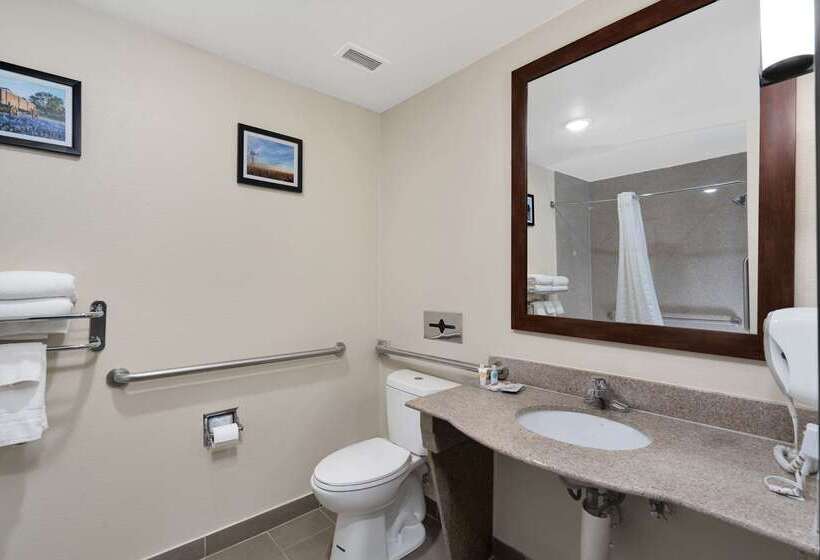 فندق Comfort Suites University