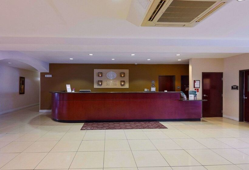 فندق Comfort Suites University