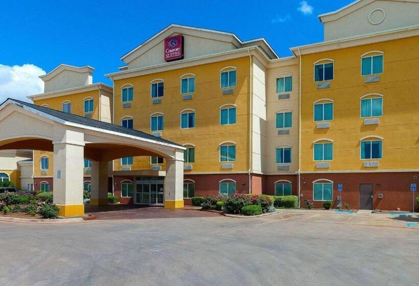 فندق Comfort Suites University