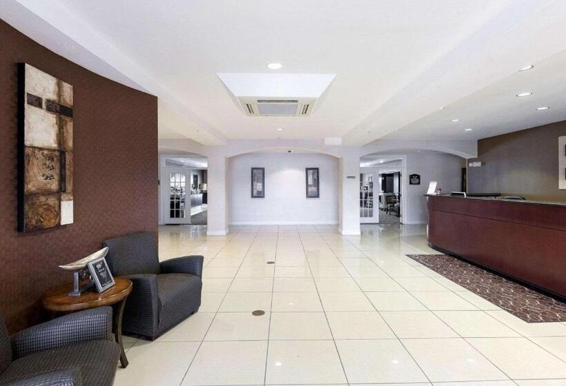 فندق Comfort Suites University