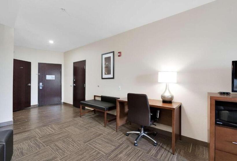 فندق Comfort Suites University