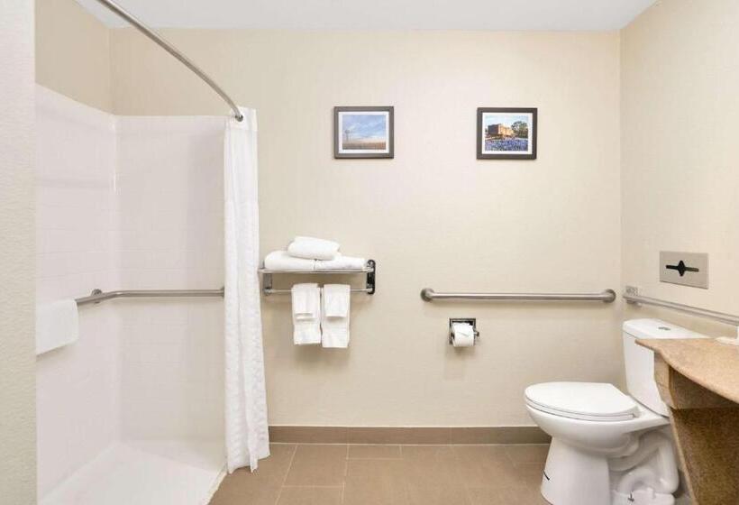 فندق Comfort Suites University