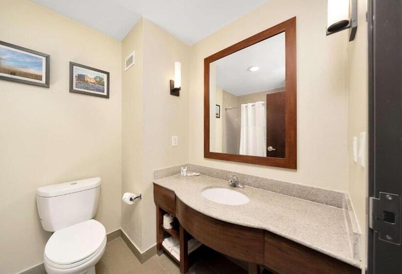 فندق Comfort Suites University