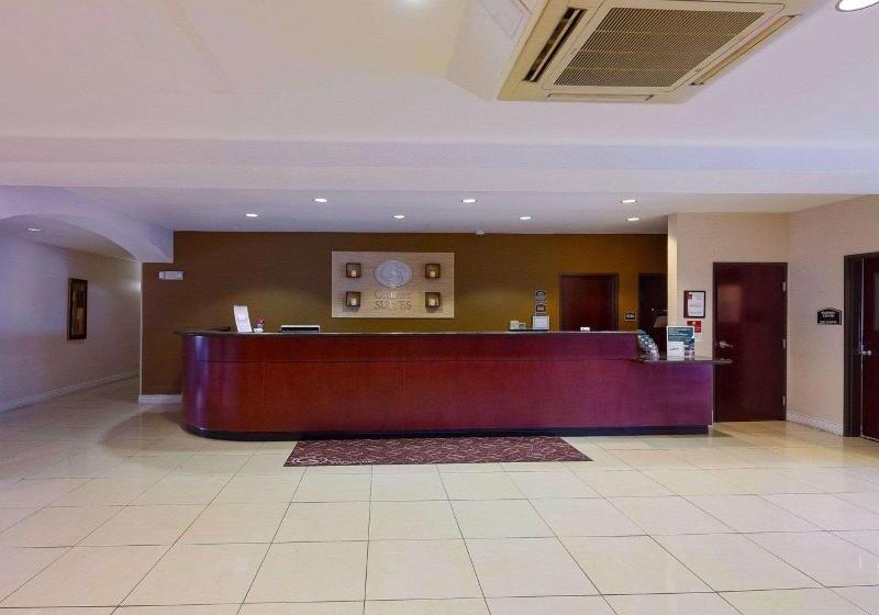 فندق Comfort Suites University