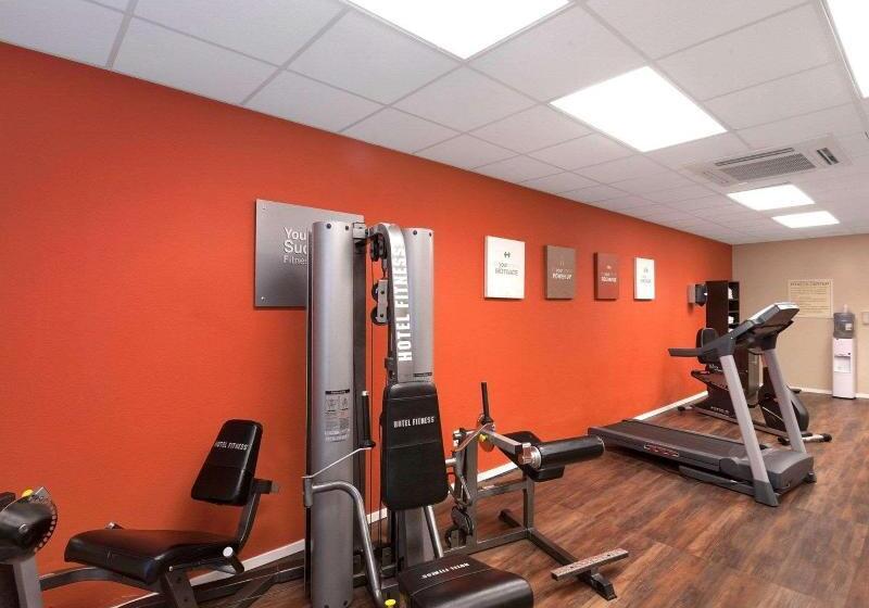 فندق Comfort Suites University