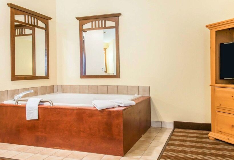 فندق Econo Lodge Inn & Suites