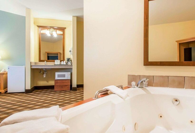 فندق Econo Lodge Inn & Suites