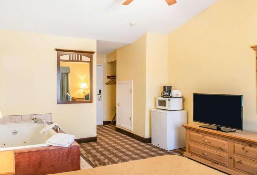 فندق Econo Lodge Inn & Suites