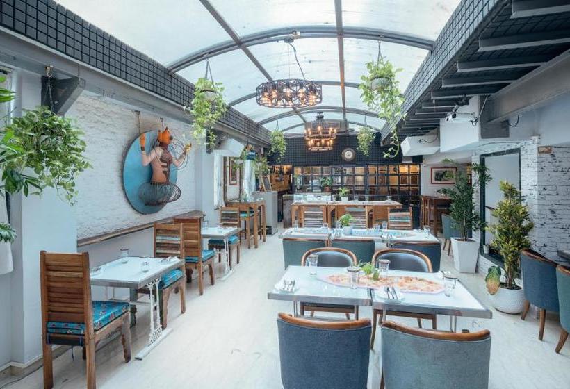 فندق Executive Enclave