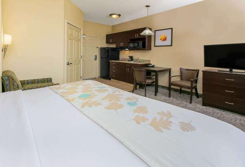 فندق Spark By Hilton Longview