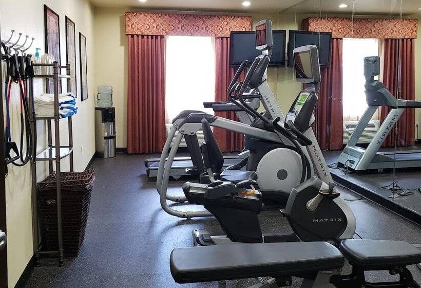 호텔 Holiday Inn & Suites Mckinney   N Allen, An Ihg