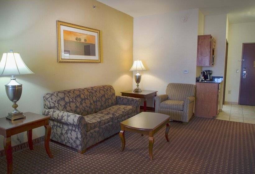 Holiday Inn Express Hotel & Suites Center, An Ihg