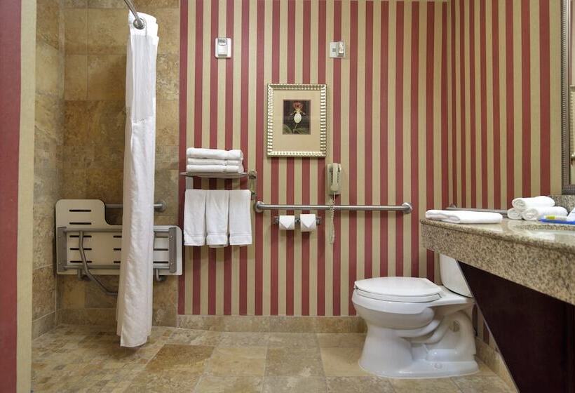 Holiday Inn Express Hotel & Suites Dfw West   Hurst, An Ihg