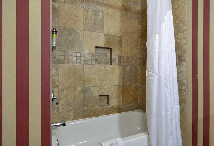 Holiday Inn Express Hotel & Suites Dfw West   Hurst, An Ihg