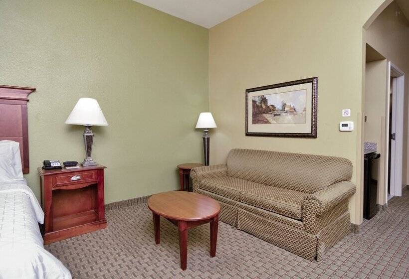Holiday Inn Express Hotel & Suites Dfw West   Hurst, An Ihg