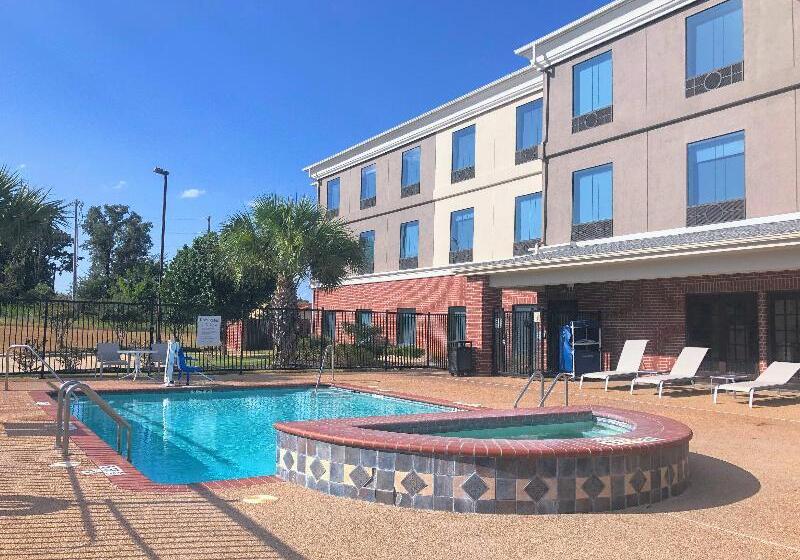 בית מלון כפרי Holiday Inn Express & Suites Hearne By Ihg