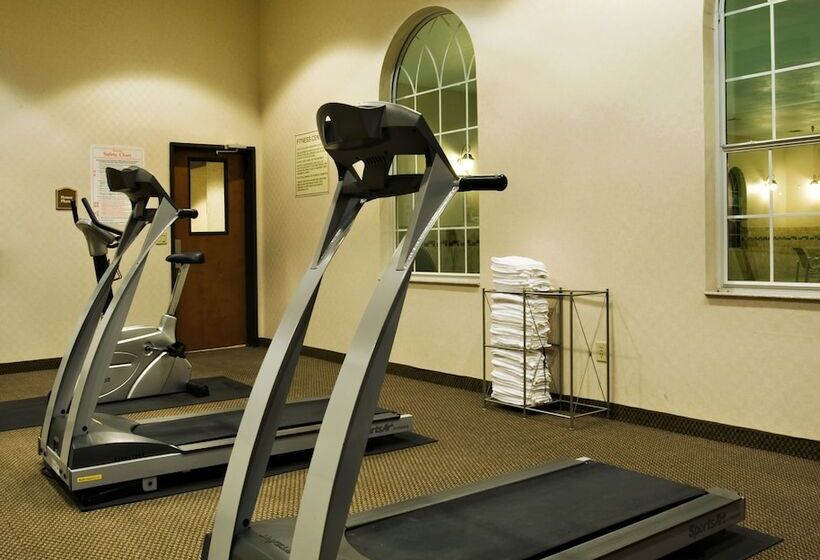 Holiday Inn Express Hotel & Suites Levelland, An Ihg