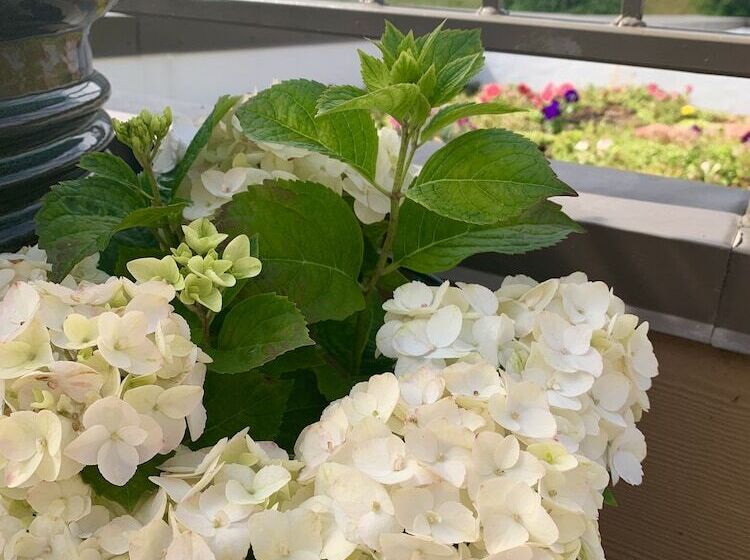 Holiday Inn Express Hotel & Suites North Sequim, An Ihg