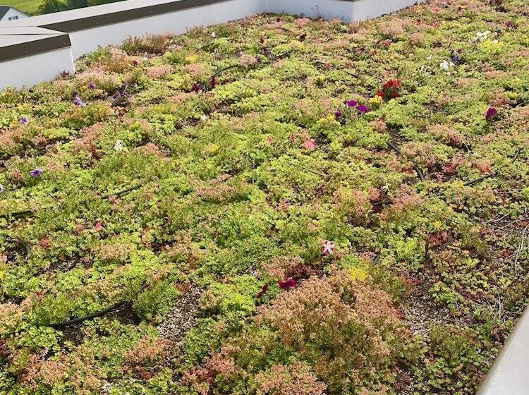 Holiday Inn Express Hotel & Suites North Sequim, An Ihg